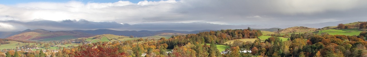Paysage près de Windermere en automne (Lake District, Cumbria, Angleterre)