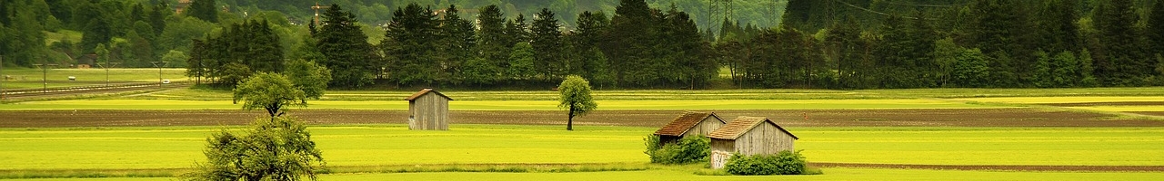 Terres arables des villages de Schiers - Grüsch (canton des Grisons, Suisse)