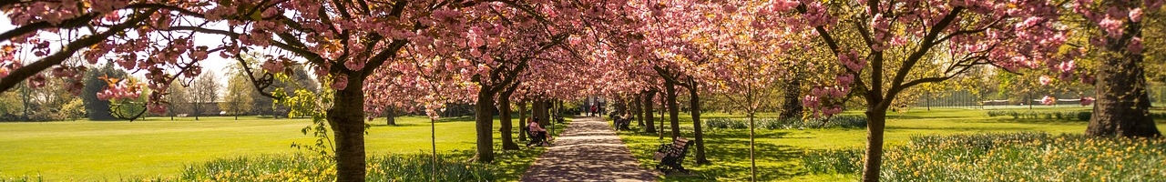 Hyde Park (Londres, Angleterre)