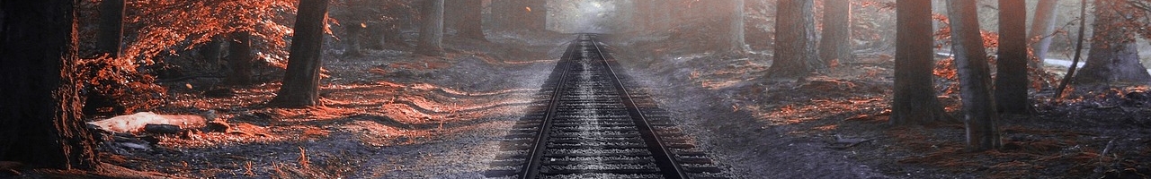 Chemin de fer traversant une forêt
